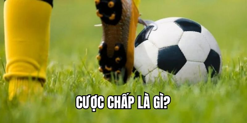 Cược chấp là gì